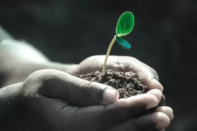 Ramadan Menumbuhkan Makna Kehidupan