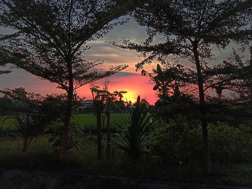 Tamuku dan Puisi Lainnya