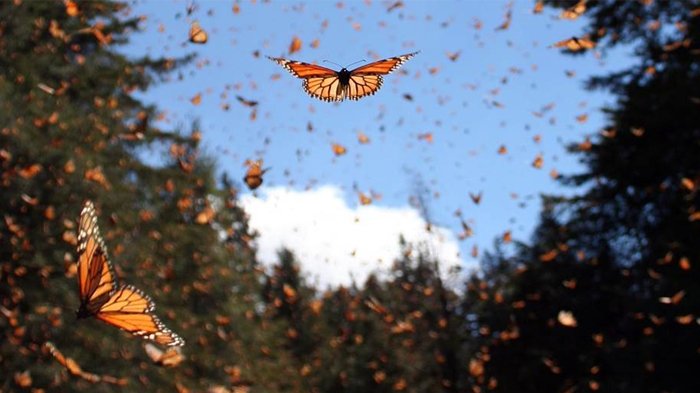 Lebaran Riang Gembira