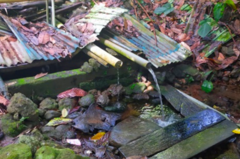 Salu’ Barania dan Cara Kita Mencintai Alam