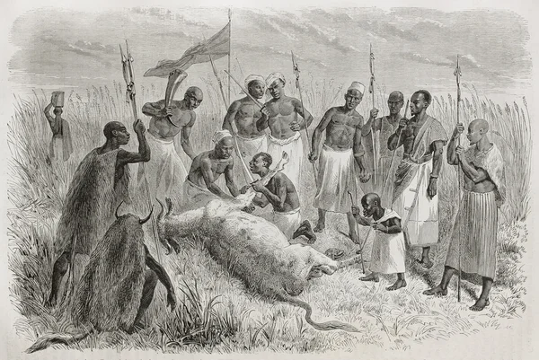 Cinta Dan Pengorbanan