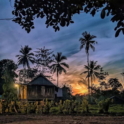 Kelapa: Tradisi dan Kejayaan Orang Bugis-Makassar pada Masa Lampau