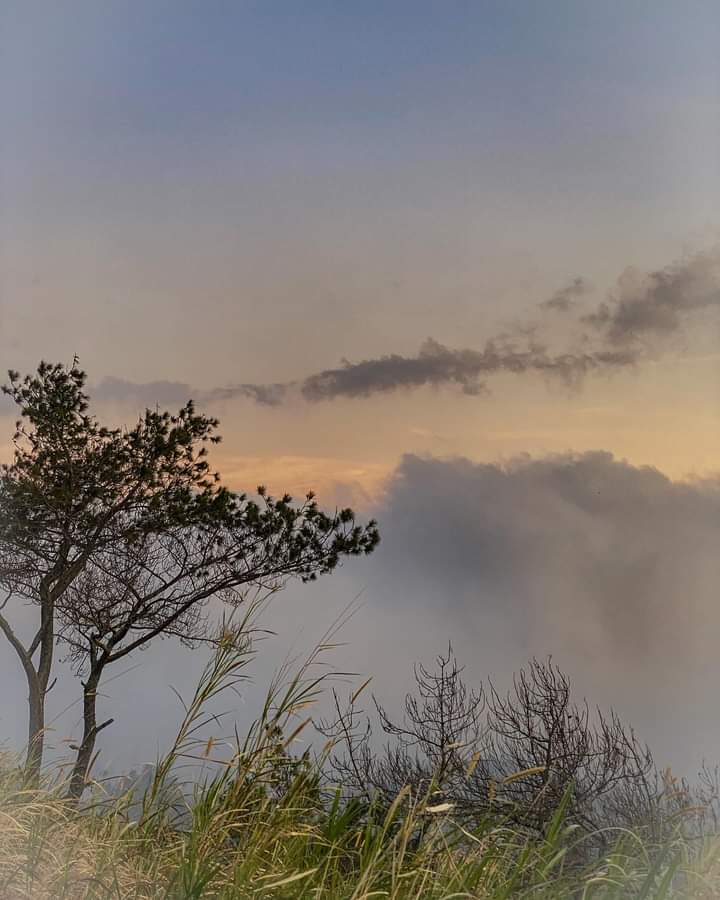 Cinta dan Kemanusiaan