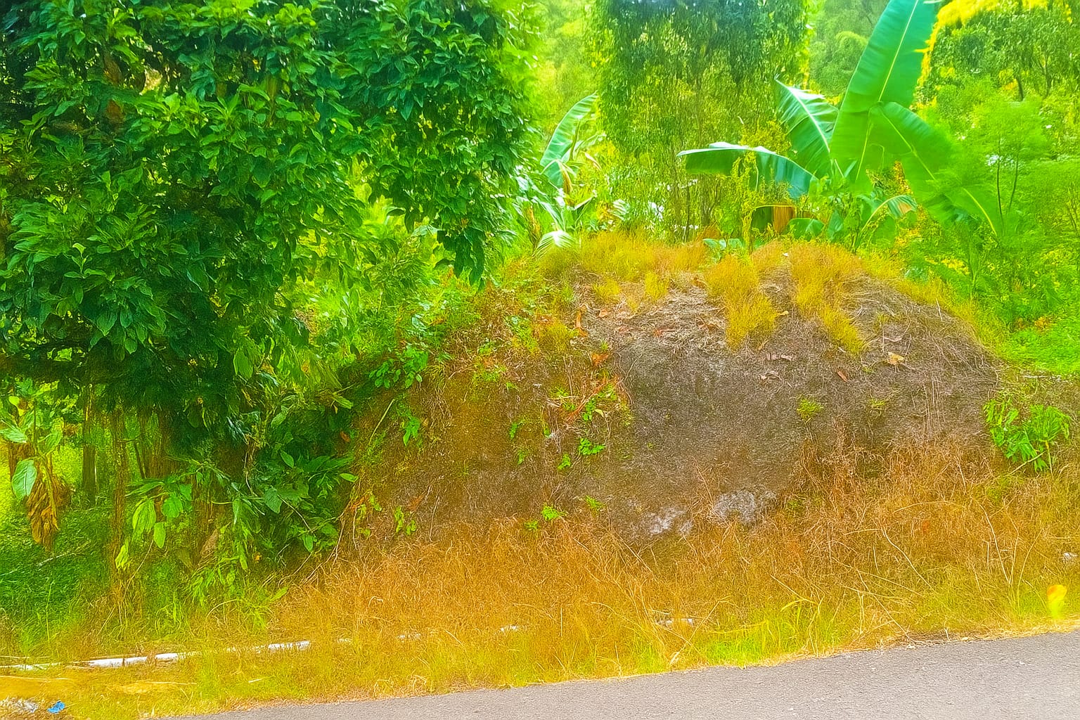 Batu Lompoa: Penjaga Sunyi dari Dusun Jambi